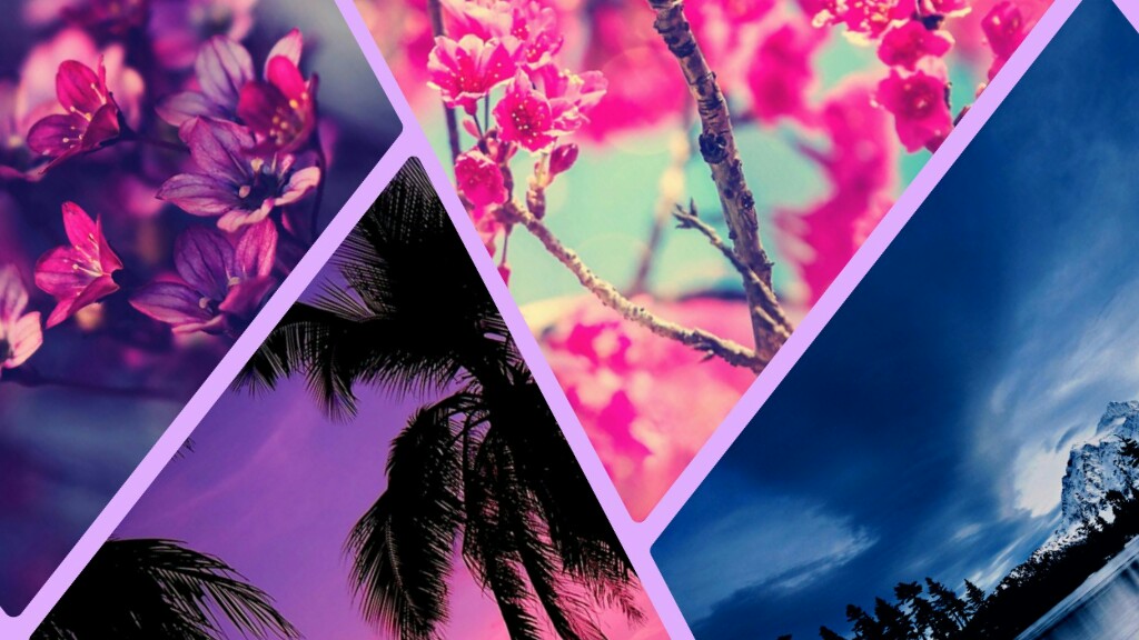 Picsart banner for @stickler
