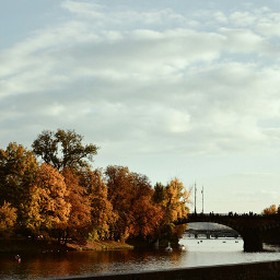 prague autumn colorful bridge river dpcbridges